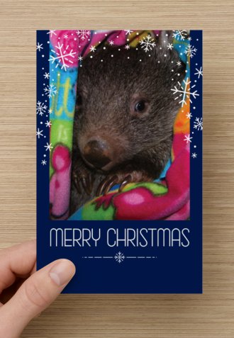 Grace Christmas Card