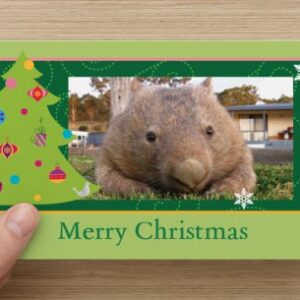 Green Wombat Christmas card