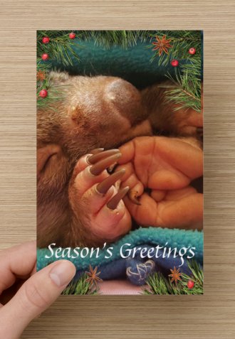 Wombat Lady Jane Christmas card